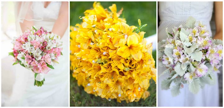 альстромерии