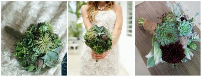 Ассорти суккулентов в свадебной композиции новобрачной