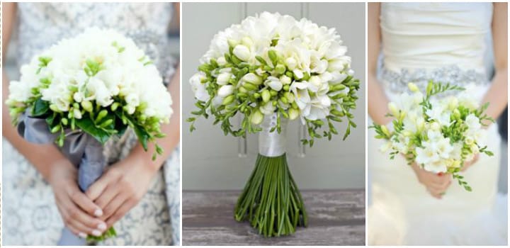 белые монобукеты