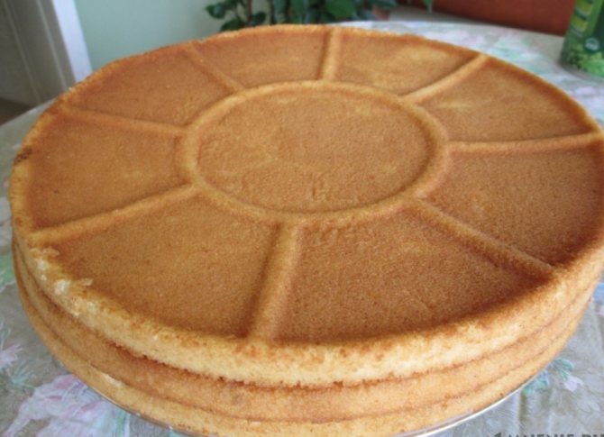 Бисквитные коржи для торта 2