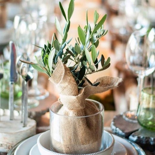 Бонсай как подарок гостям на свадьбу