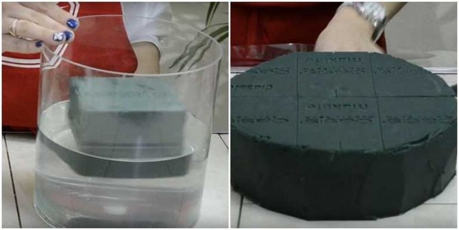 Бруски флористической губки в воде