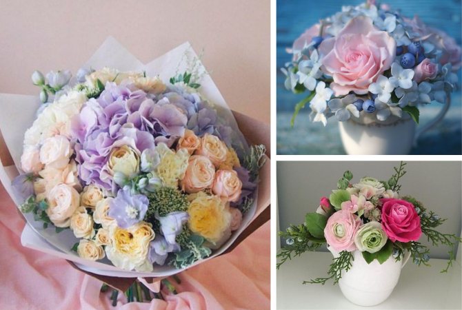 Букет из гортензии фото, виды, дизайн