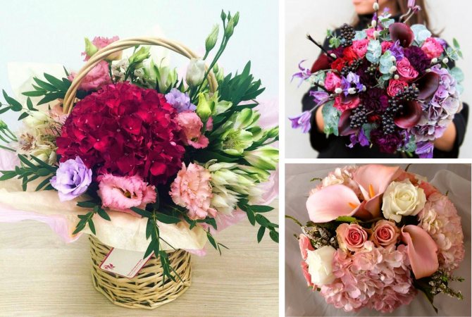 Букет из гортензии фото, виды, дизайн