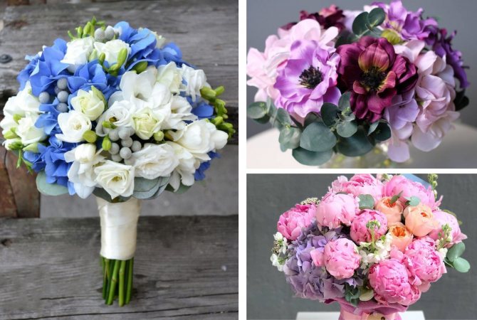 Букет из гортензии фото, виды, дизайн