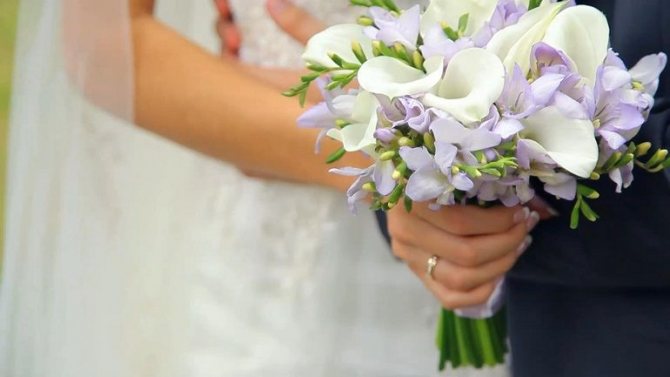 Букет из каллов