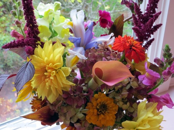 Букет из разноцветных цветов