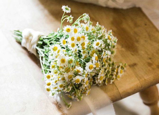 Букет из ромашек