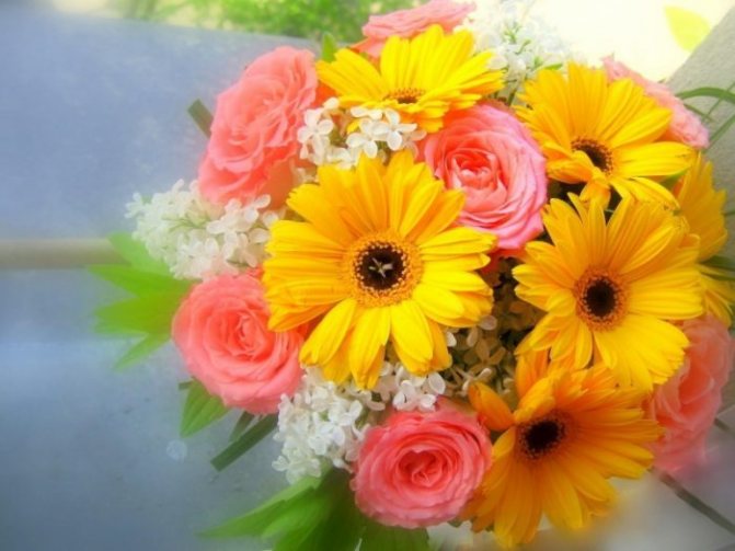 Букет из роз и гербер