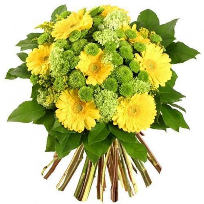 Букет из желтых хризантем