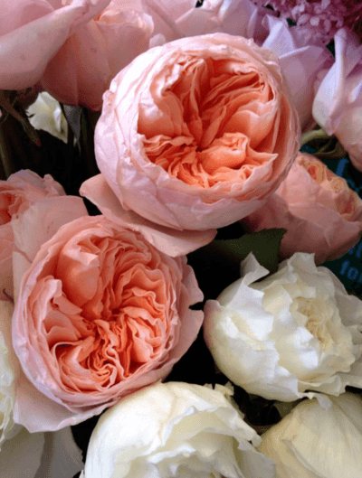 букет невесты из пионовидных роз