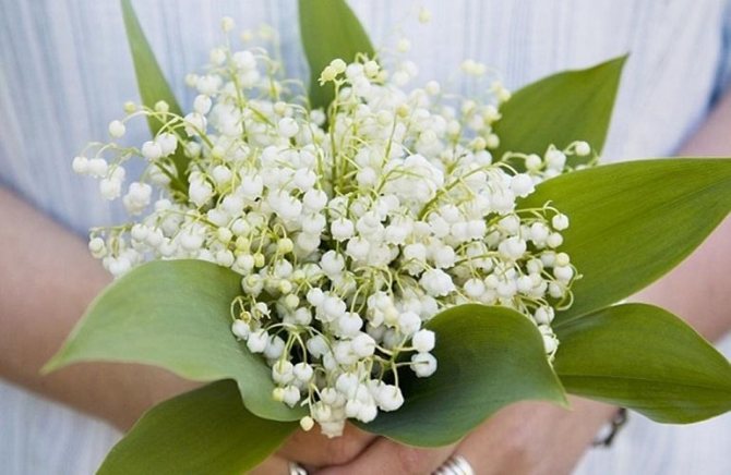 Букет невесты с ландышами