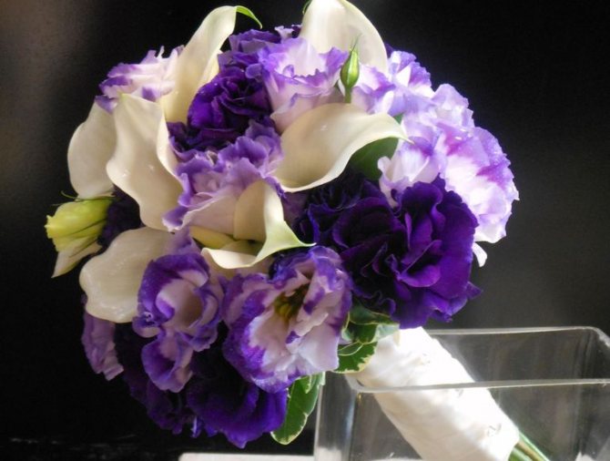 Букет невесты с сиреневыми эустомами и каллами