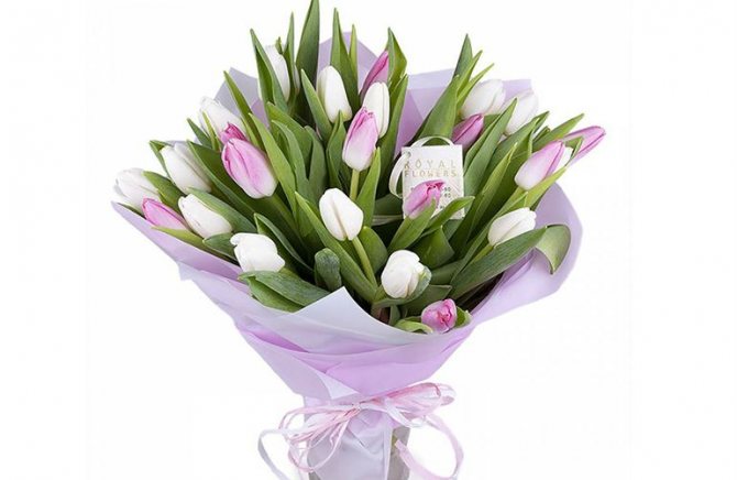 Букеты из тюльпанов на 8 марта - преимущество
