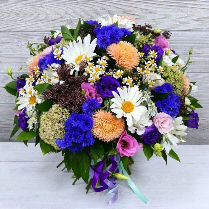 Букеты полевых цветов