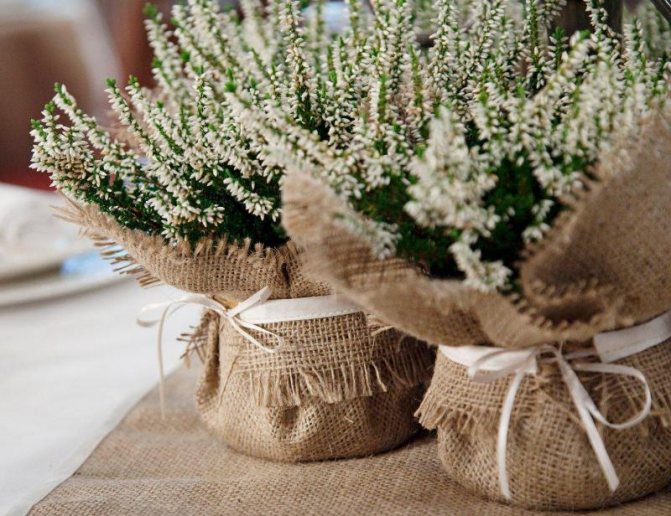 букеты в мешковине