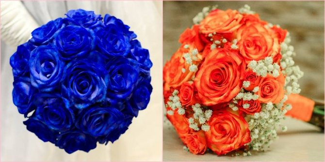 Бывают оранжевыми и синими