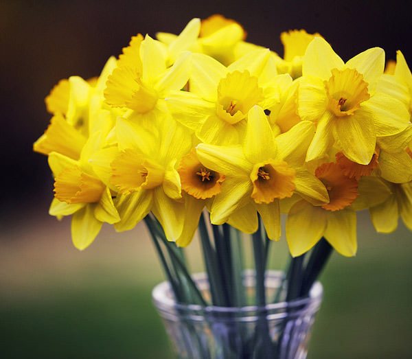 Чаще всего в салоне «Парижанка» пользуются услугой заказа цветов по указанному адресу.