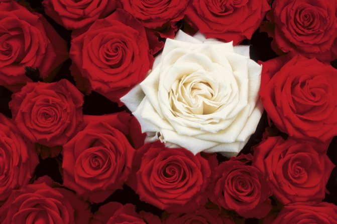 Что подарить любимому мужу на 10 летний юбилей свадьбы