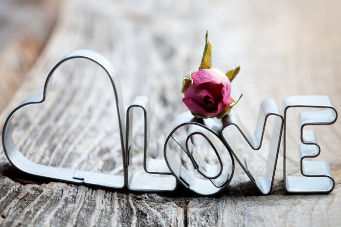 Что подарить на стальную свадьбу 11 лет любимой жене: идеи подарков