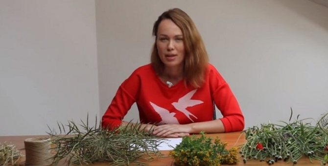 Что потребуется для полевого букета