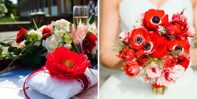 'Цвет свадьбы