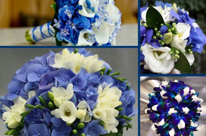 Цветочные композиции из синих цветов