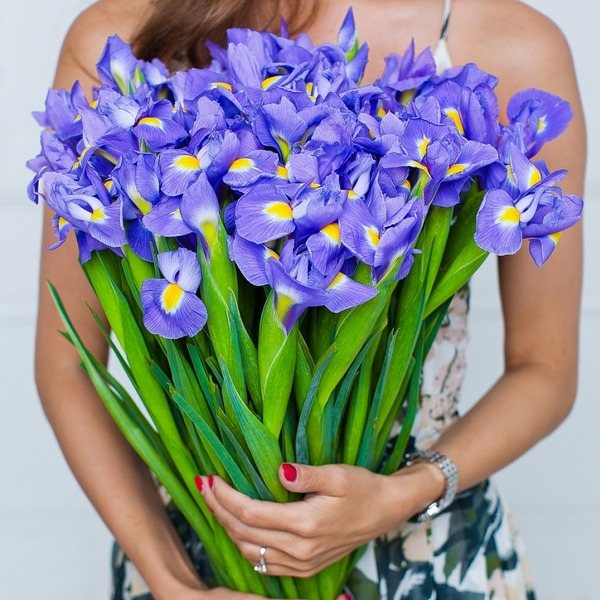 Цветы на серебряную годовщину свадьбы - ирисы