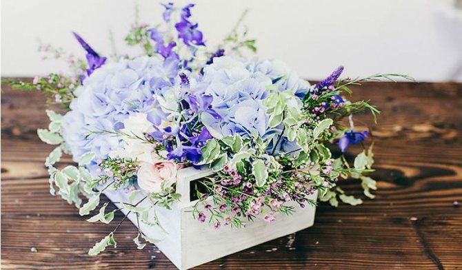 Цветы в ящике