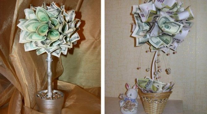 Денежное дерево