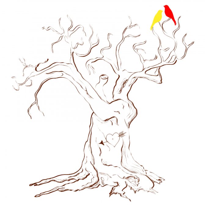 Дерево пожеланий для молодожен