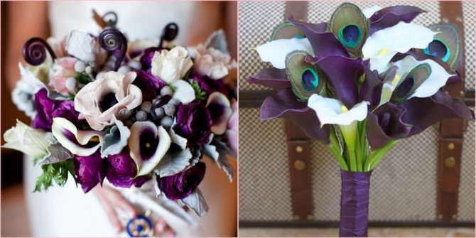 Добавьте перья павлина