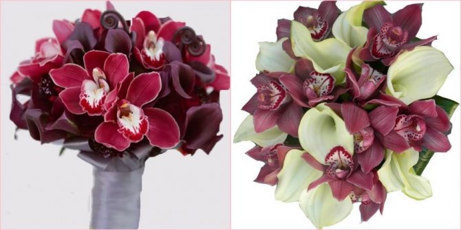 Экзотические орхидеи замечательно впишутся