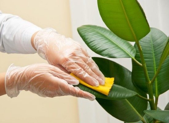 Флористика для начинающих пошагово. Сборка букетов, обучение декора, фото, видео-уроки