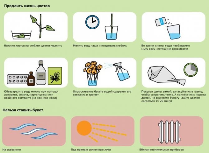 Флористика для начинающих пошагово. Сборка букетов, обучение декора, фото, видео-уроки
