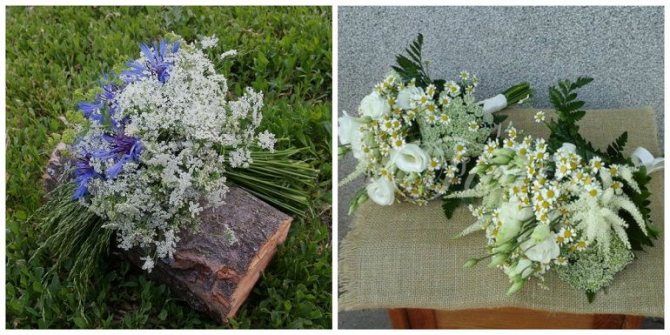 Формы букетов с луговыми растениями