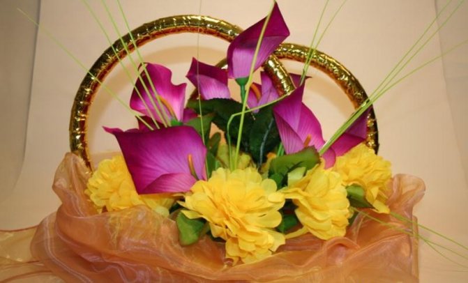 Фото с сайта: vmeste-ryadom.ru