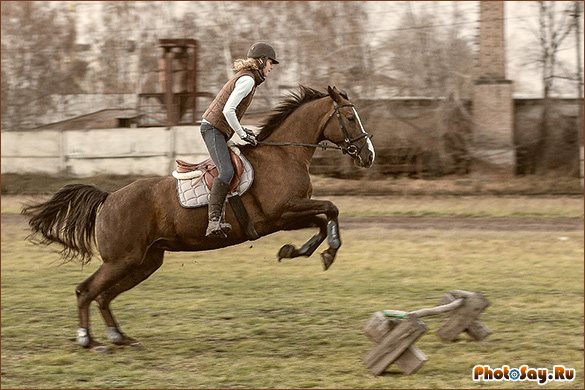 Фотосессия с лошадьми