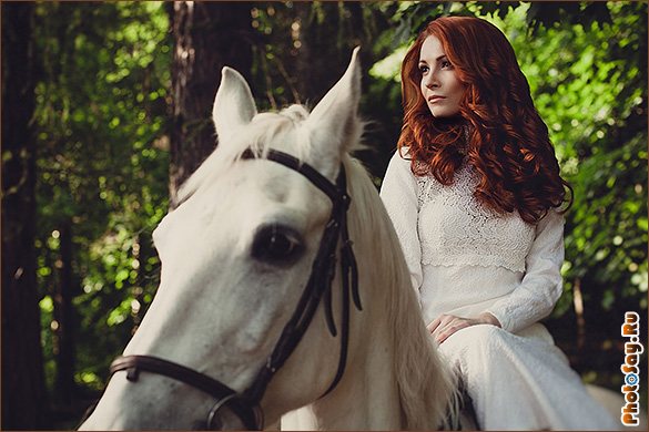 Фотосессия с лошадьми