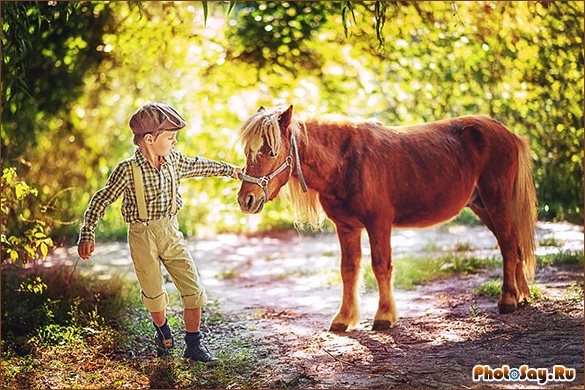 Фотосессия с лошадьми