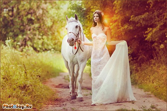 Фотосессия с лошадьми