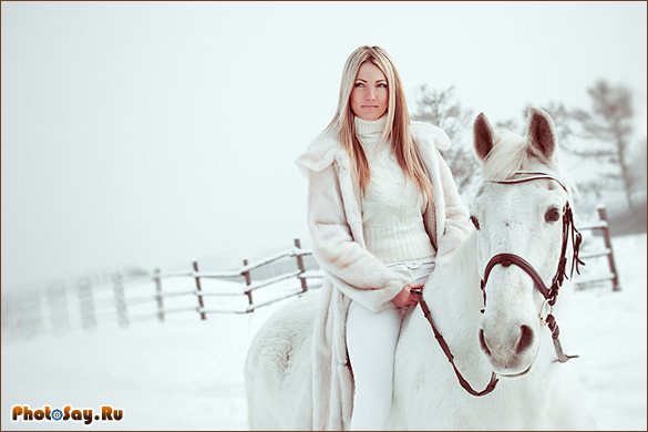 Фотосессия с лошадьми