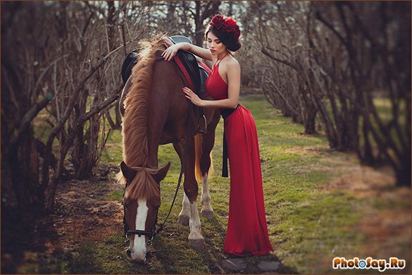 Фотосессия с лошадьми