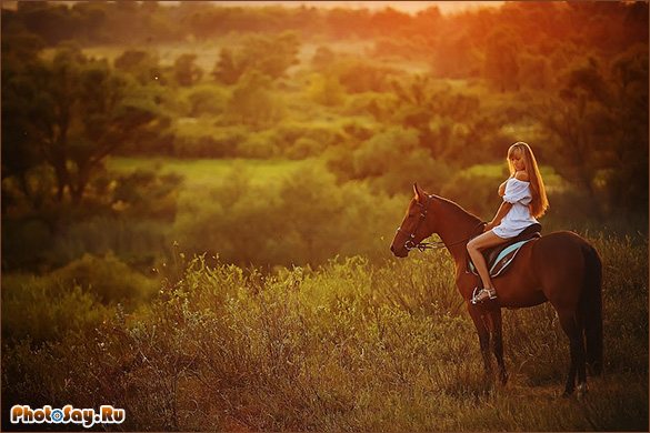 Фотосессия с лошадьми