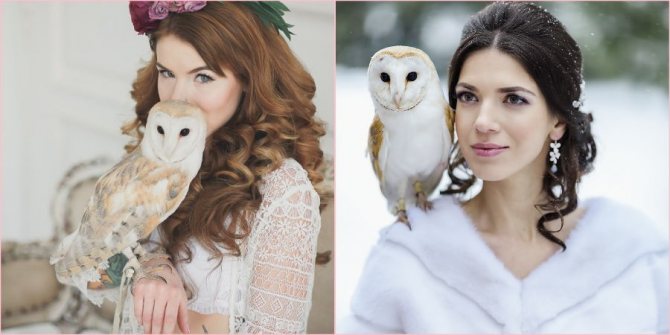 Фотосет с птицами