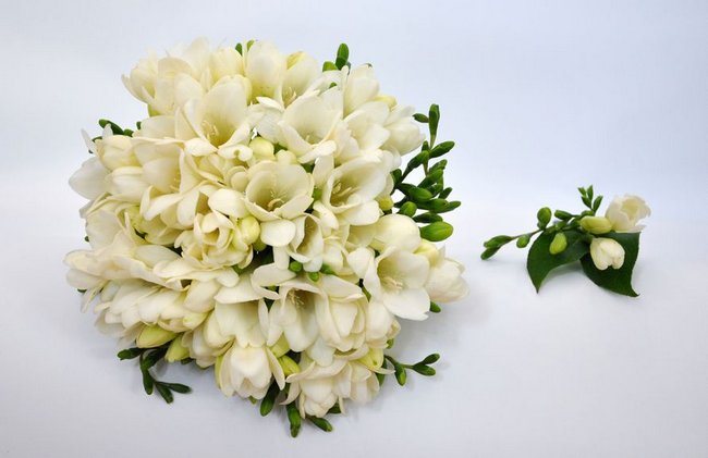 Фрезии цветы фото букеты