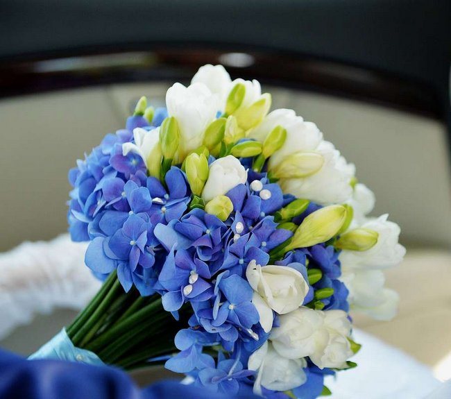 Фрезии цветы фото букеты