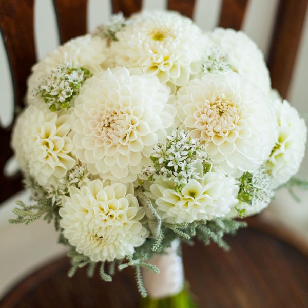 георгины на свадьбу