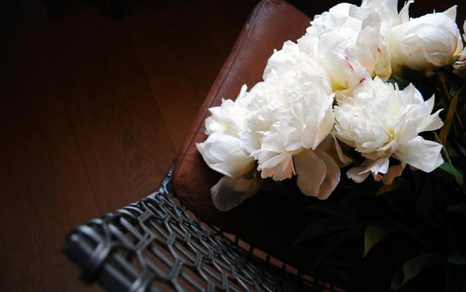 гид по пионам от свадебного букета до декора 7