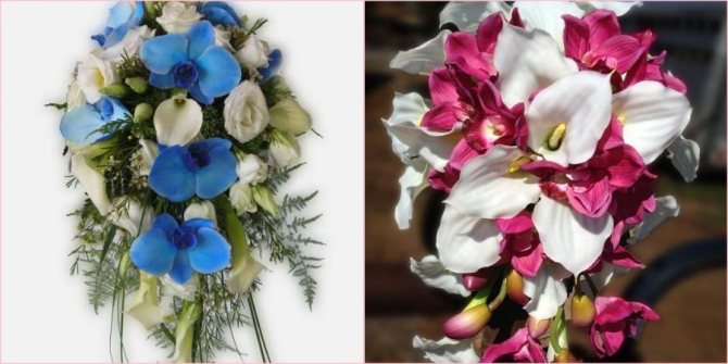 Хорошо сделать каскадную форму из орхидей